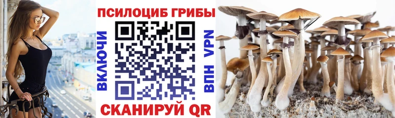 Галлюциногенные грибы Cubensis Могоча